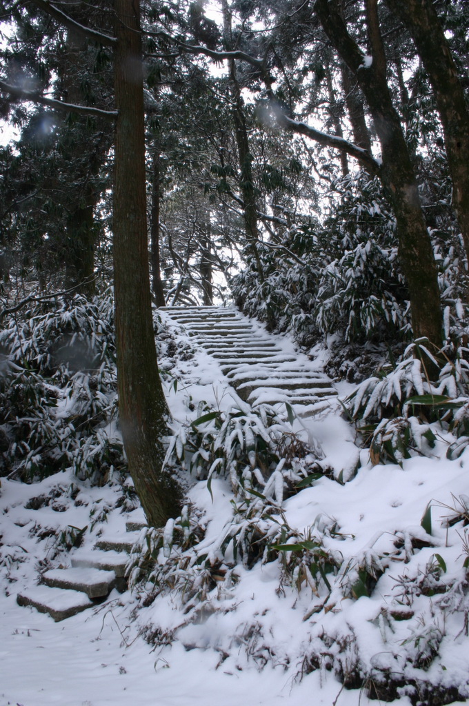 2005年的第一场雪 1.11日华顶雪世界