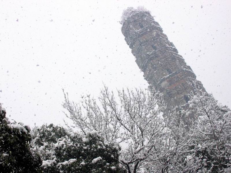 踏雪而歌
