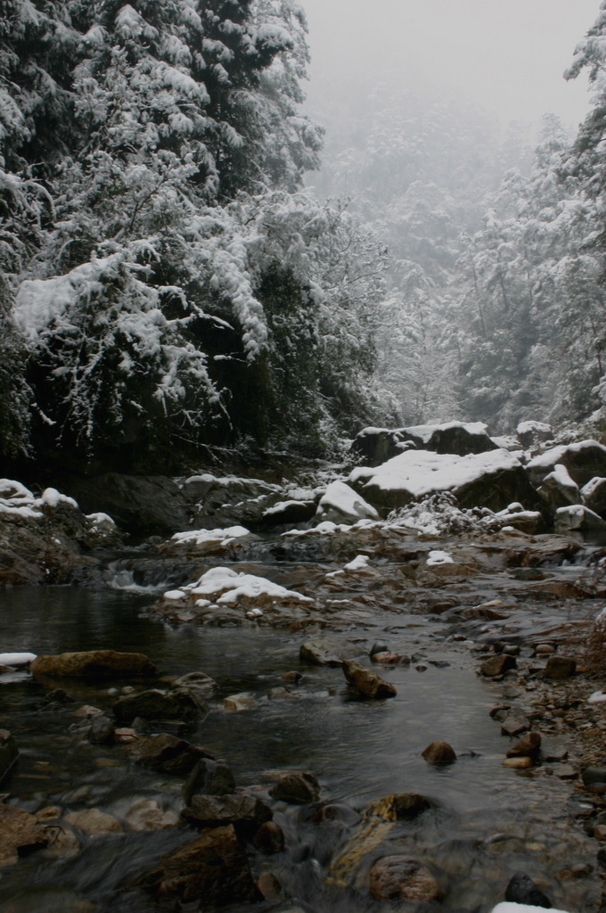 2005.11.13第二场雪