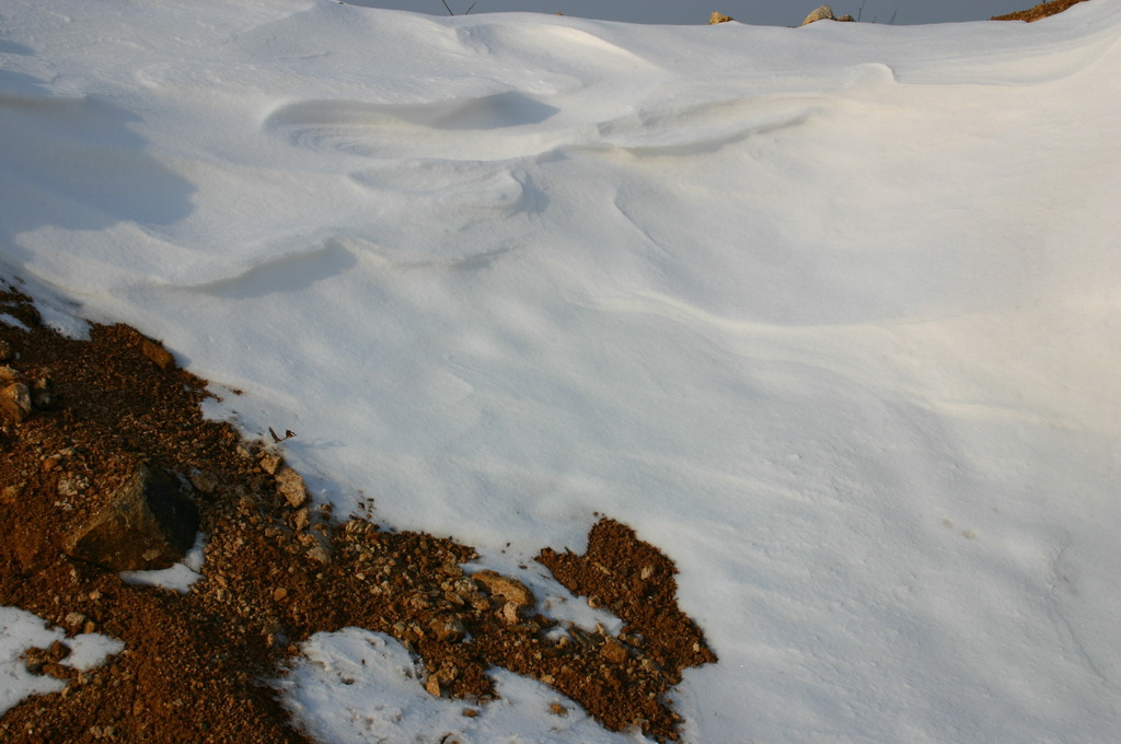 千姿百态的雪