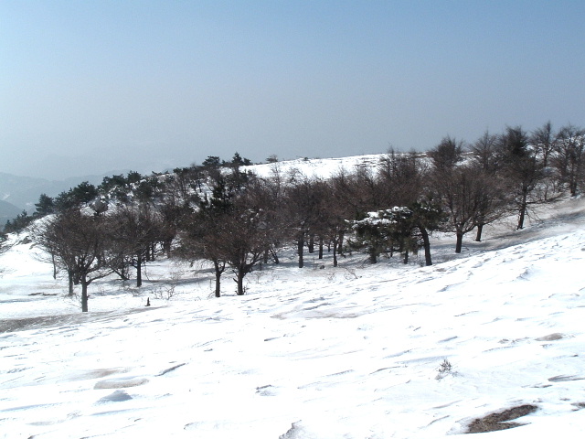 大雷山雪景(花无缺作品)