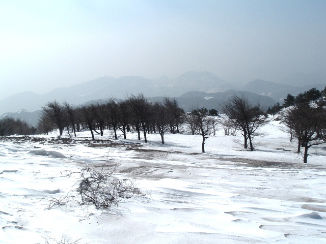大雷山雪景(花无缺作品)
