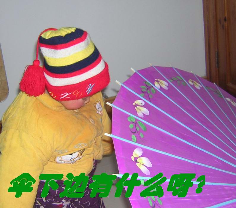 童趣