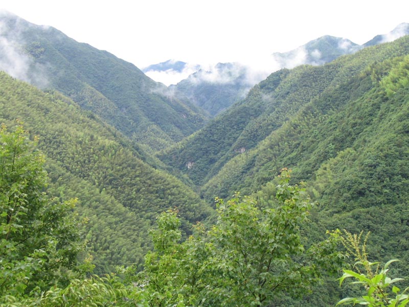 2004驴行回顾之天台行