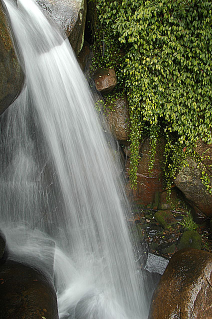 苍山顶摄影采风活动2005.1.29
