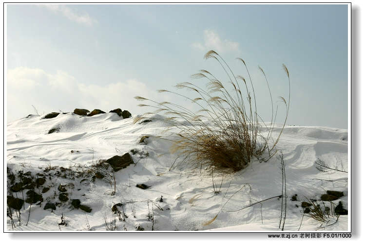 雪中山村2004.12.31