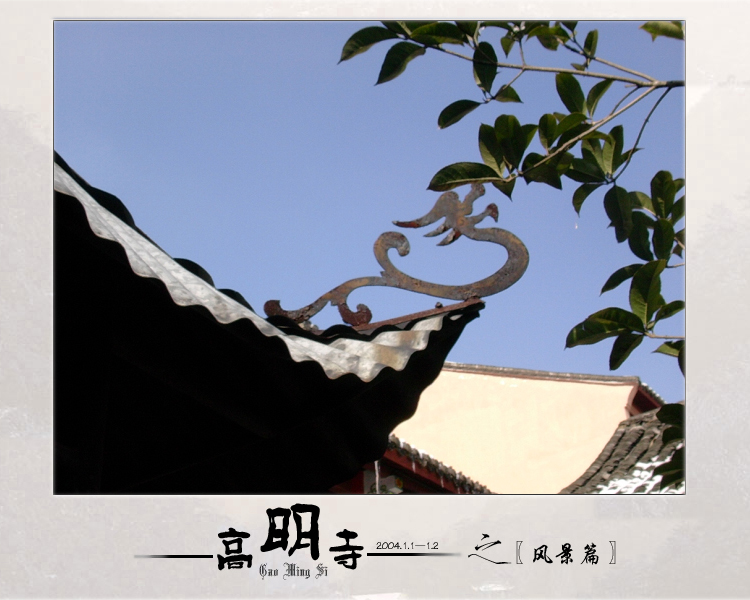 [原创]潇洒出尘之行走高明