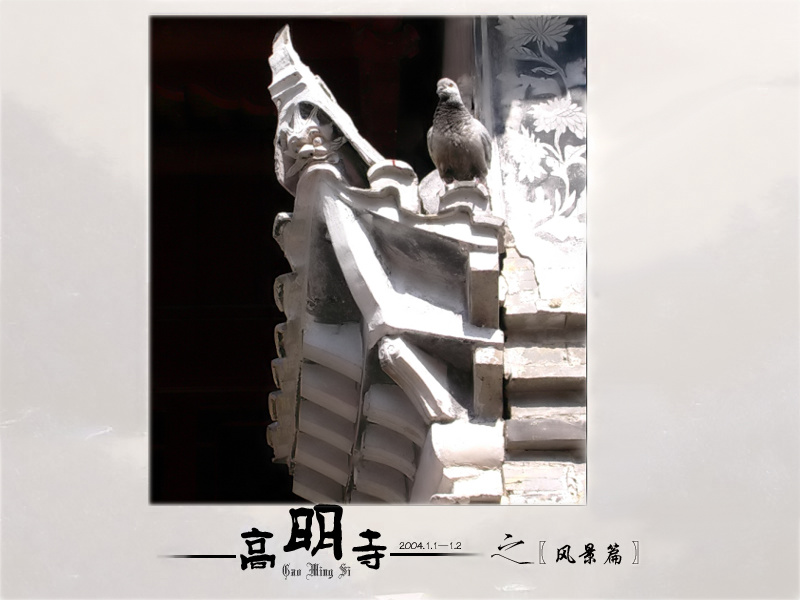 [原创]潇洒出尘之行走高明