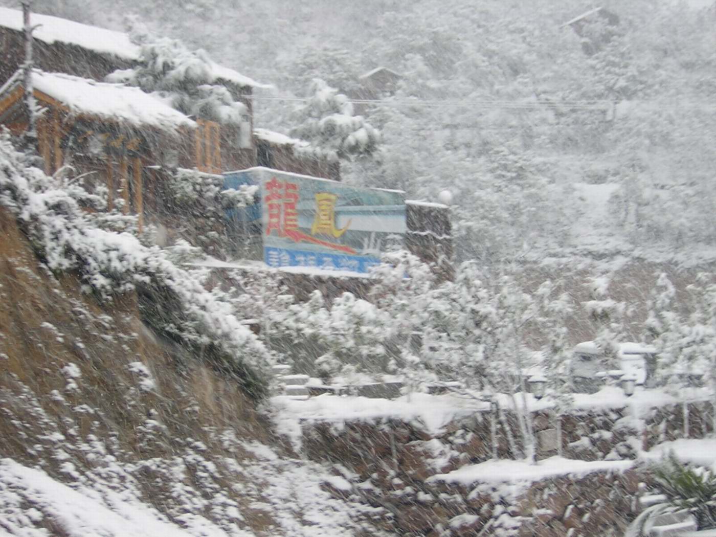 迟到的雪景.............(2004.12.28)