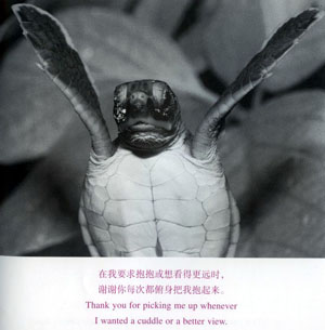 让人流泪感人文章《疯娘》（转）