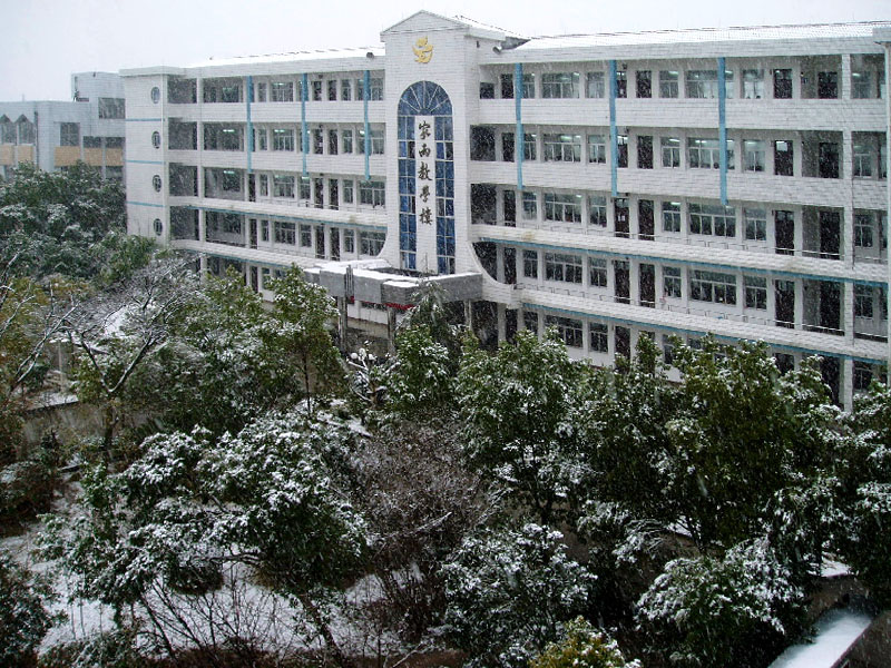 平中的美丽雪景
