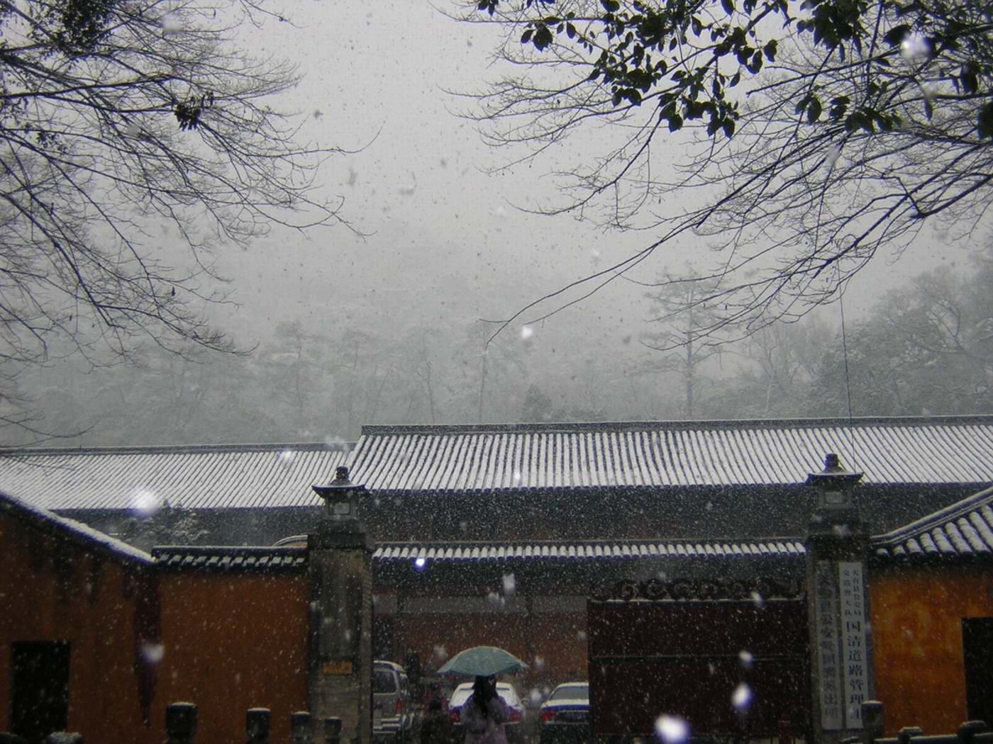 迟到的雪景.............(2004.12.28)
