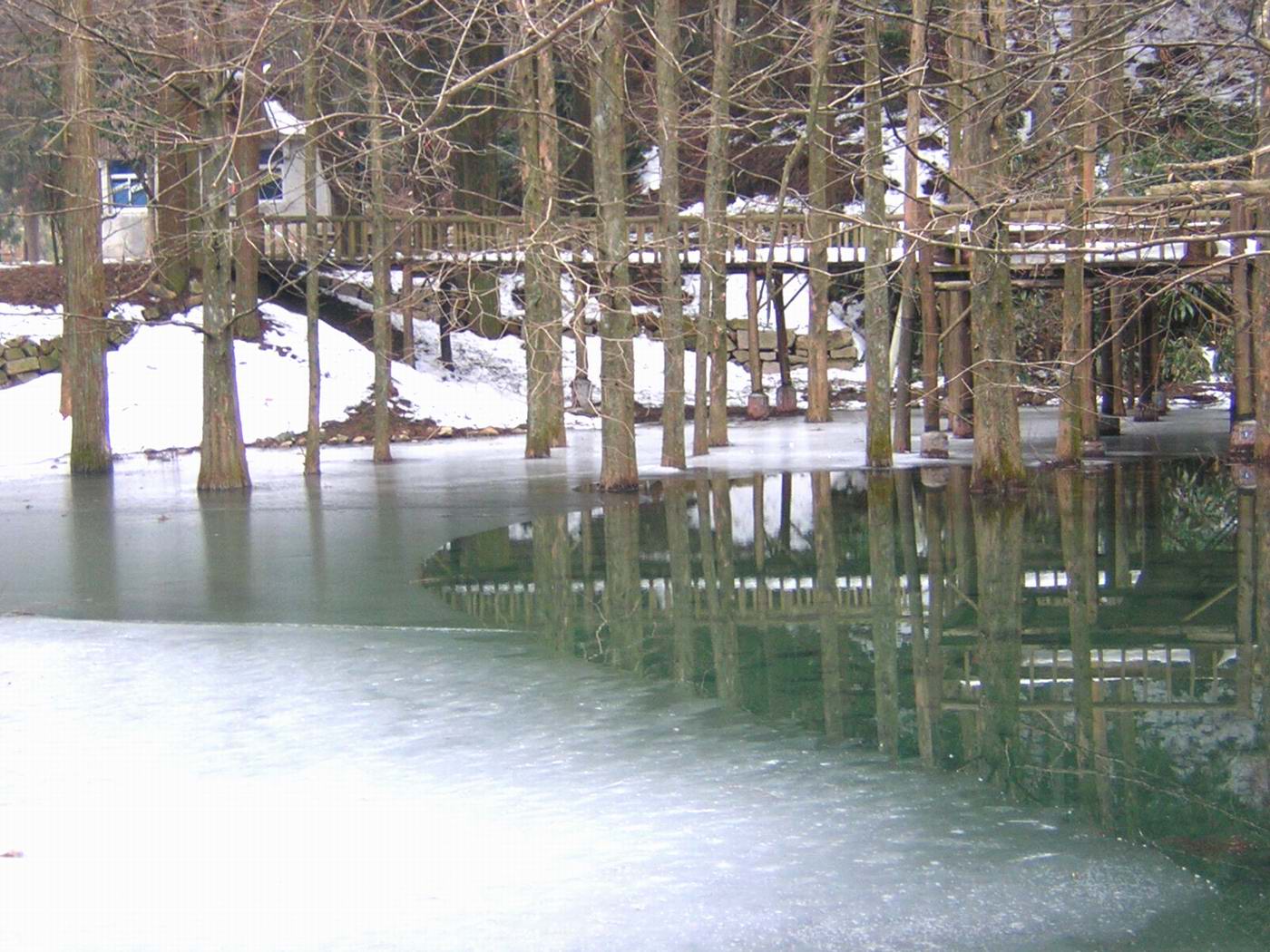华顶的雪还没有融化!2005.1.8