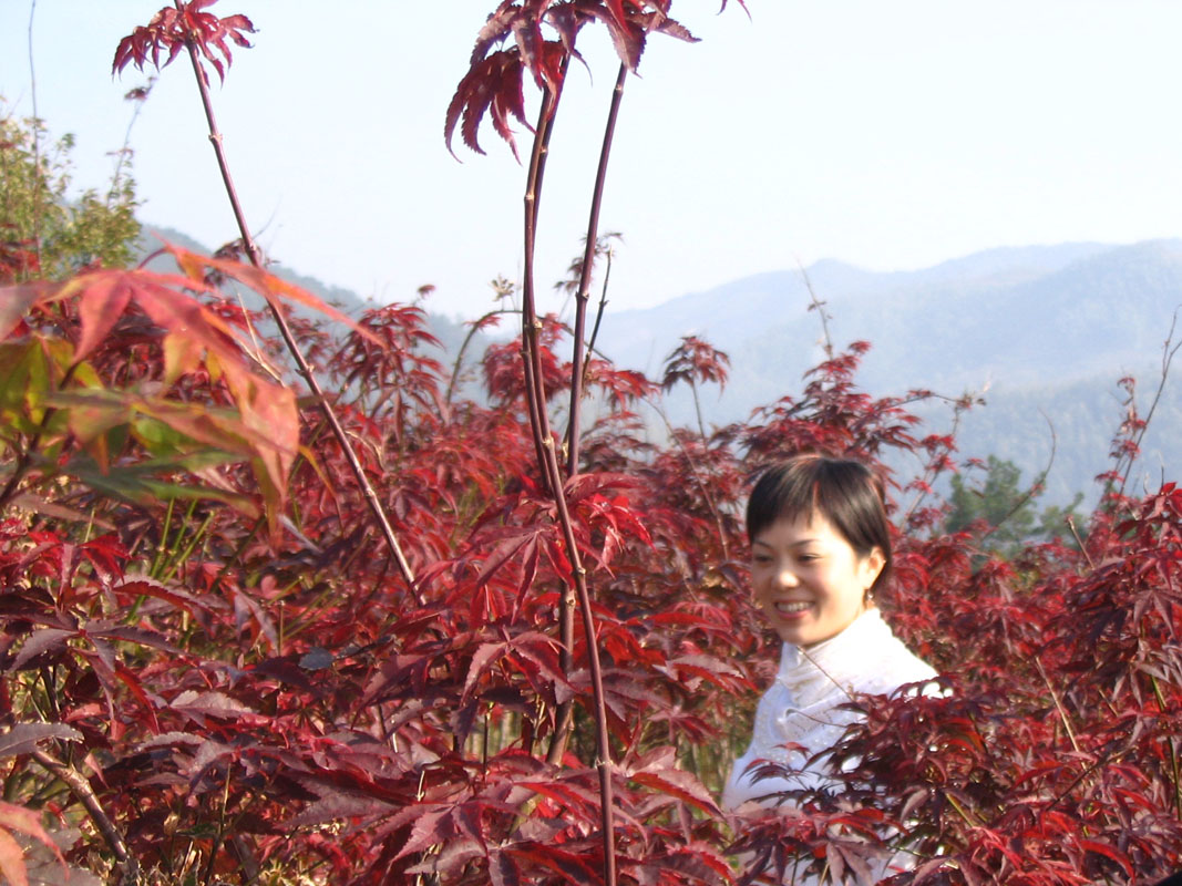 四明山之旅之抛砖引玉(2)