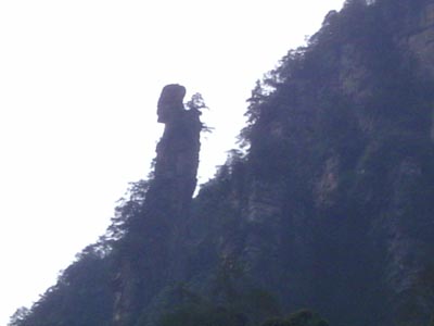 新手