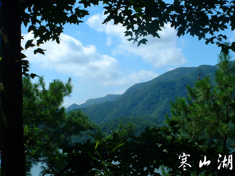 不知拍什么好.........