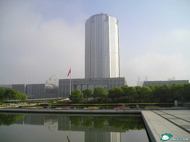 2005最感动的照片1