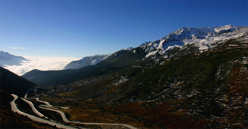 大海请进，四川靓照