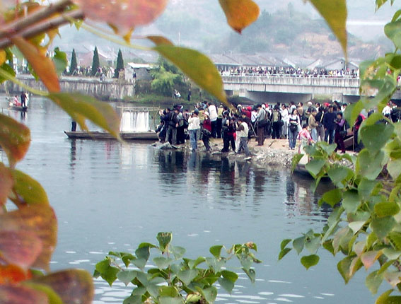 2005丽水国际影展-32张图片花絮