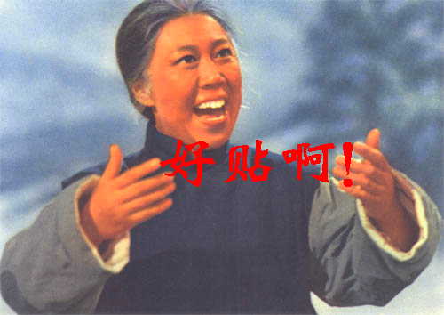 来灌水