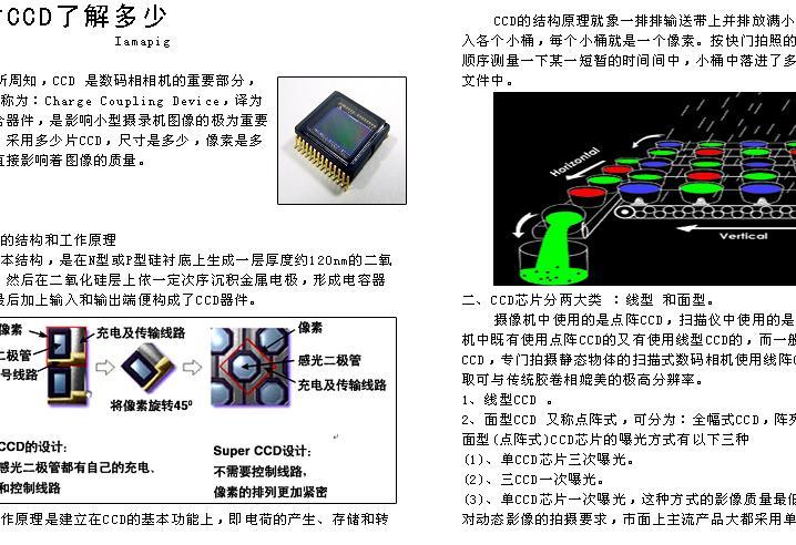 橡树摄影第二期电子开始下载了