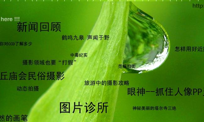 橡树摄影第二期电子开始下载了
