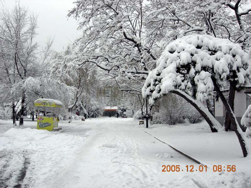 2005年的第一场雪
