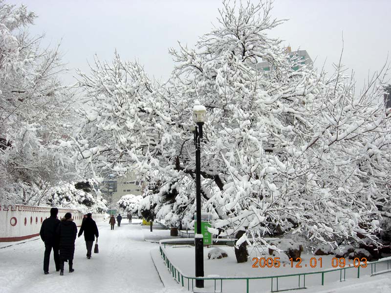 2005年的第一场雪