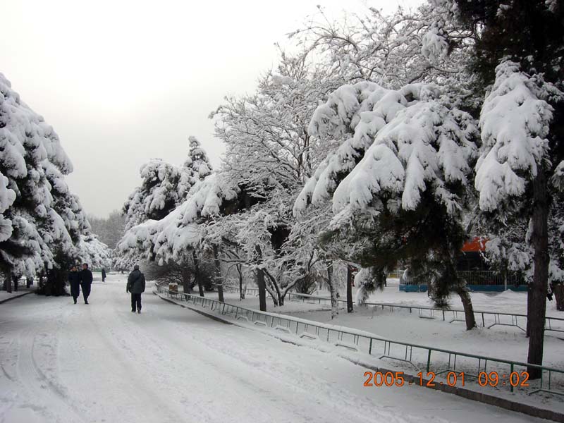 2005年的第一场雪