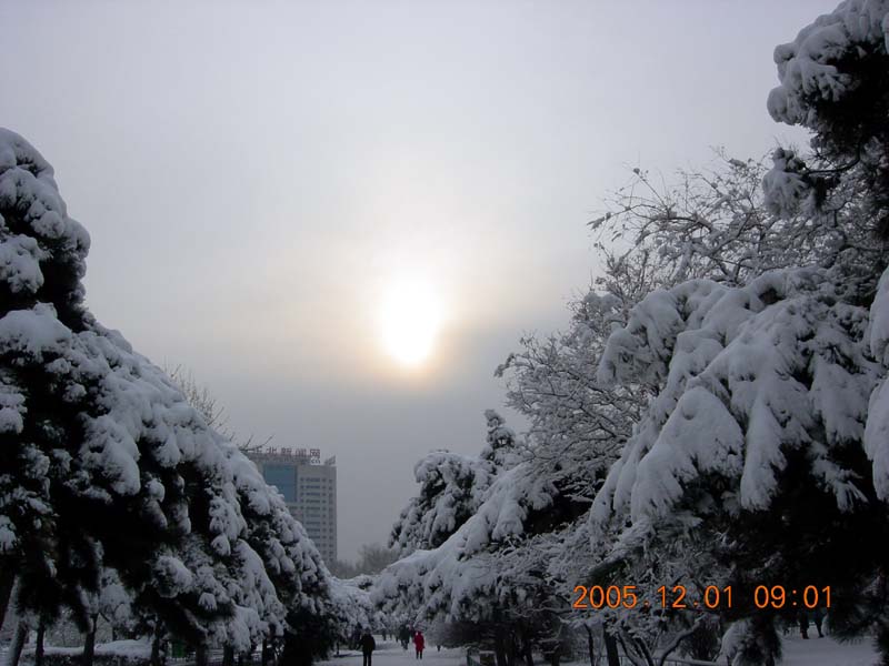 2005年的第一场雪