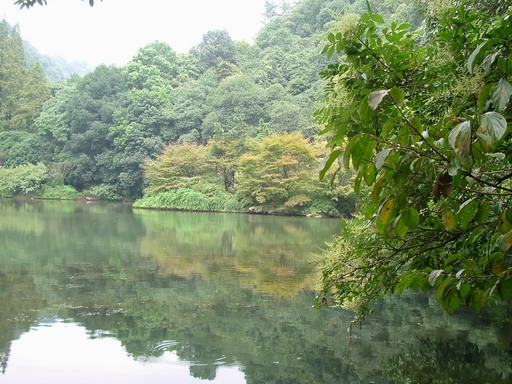 烟村