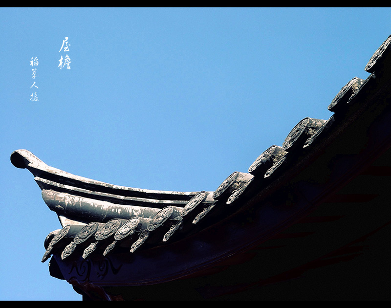 灵溪的照片（原创）