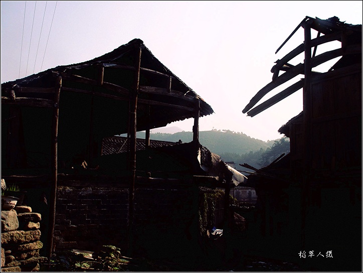 行走榧树村！