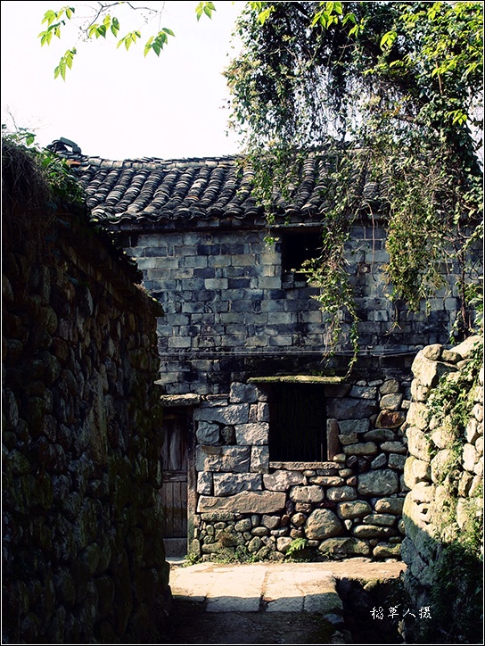 行走榧树村！
