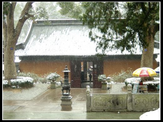 [分享]乱拍在春雪皑皑处!
