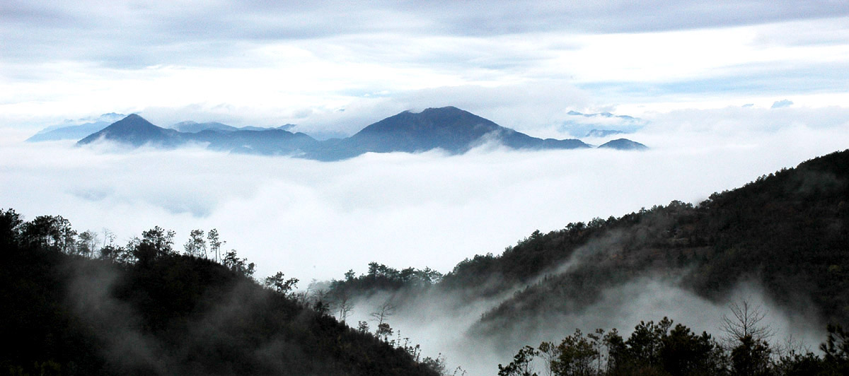 又是天台山云海