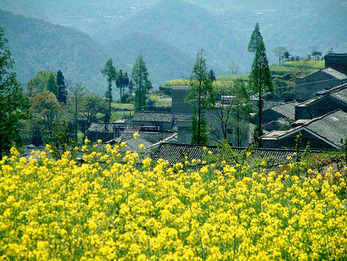 昨天去了一个山村