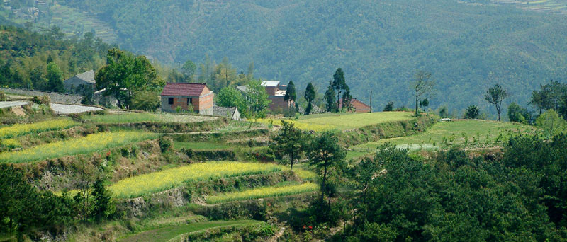 昨天去了一个山村