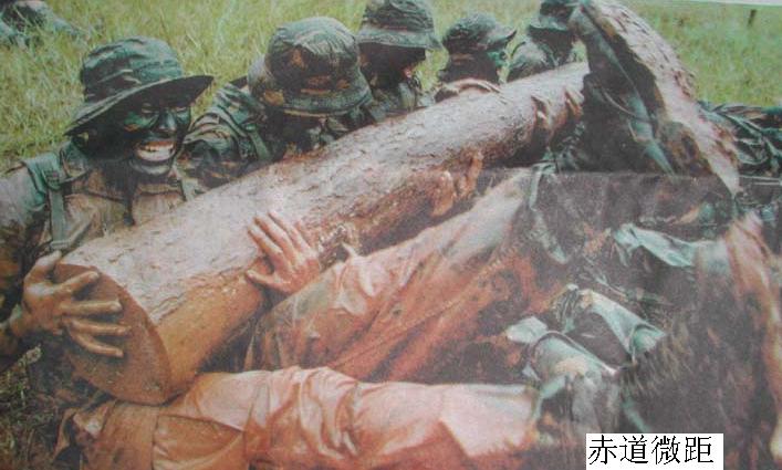 献给我们最敬爱的人————人民子弟兵