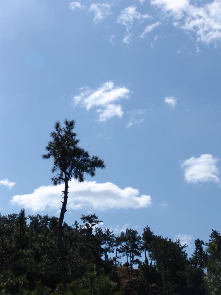 北方的天空