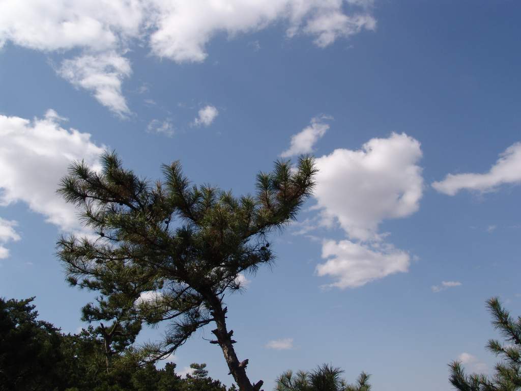 北方的天空