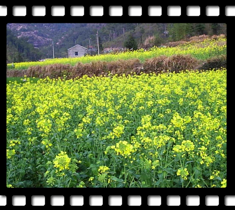 记忆电影花絮-------扫墓之行