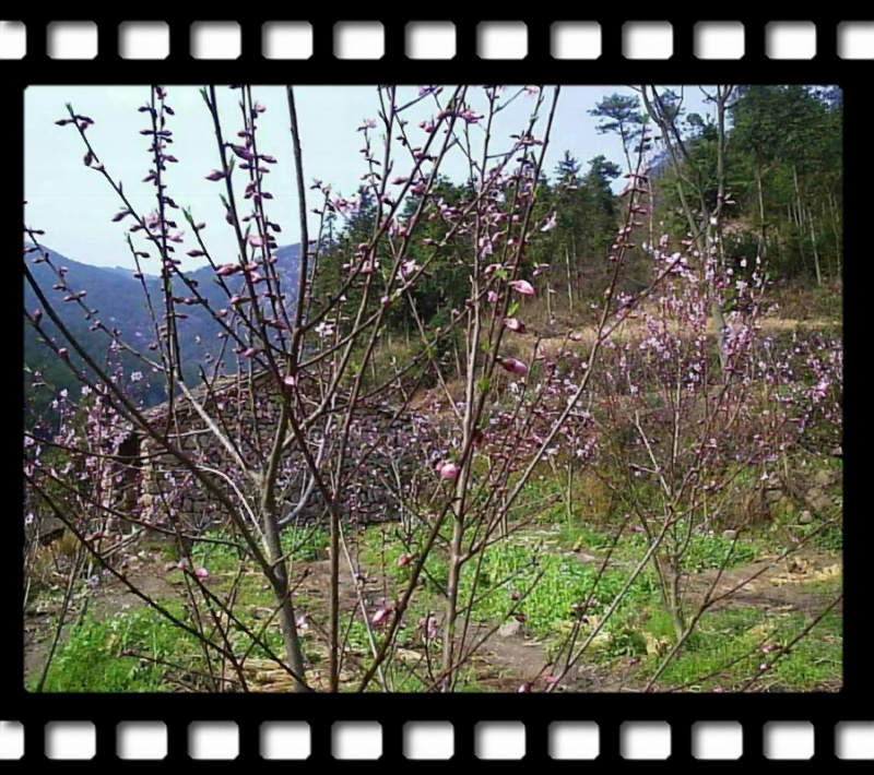 记忆电影花絮-------扫墓之行