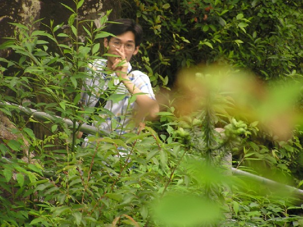 新手上路,大家不要笑我