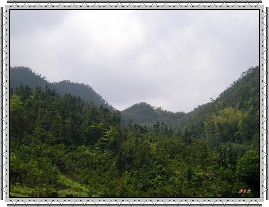新拍摄一组--自然风景