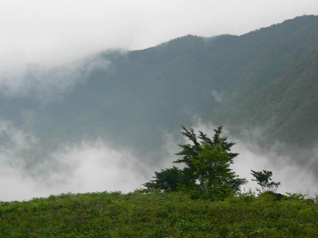 2005．6．11-12苍山顶之行的PP之二，