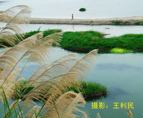 美丽的始丰溪畔
