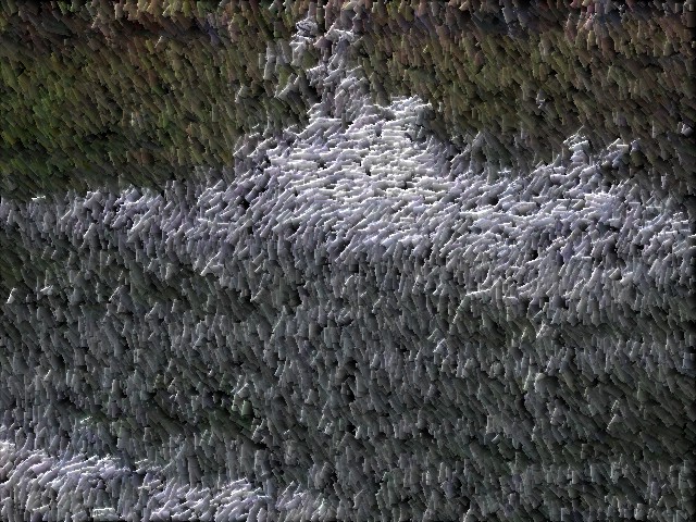 童趣-一组