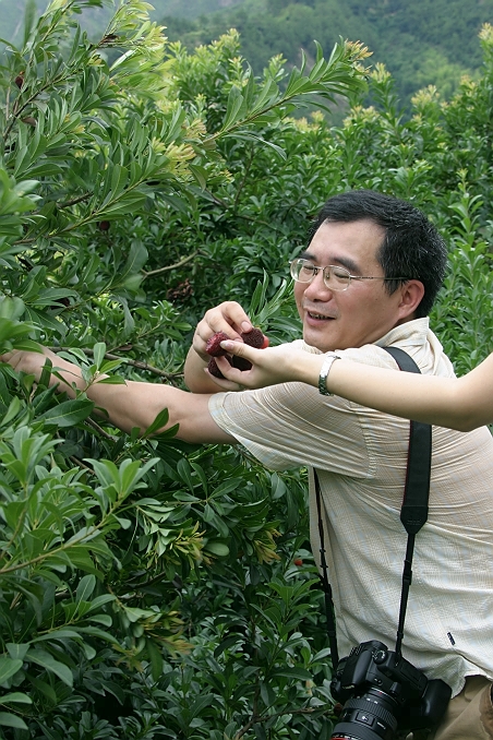 记实片,杨梅山上