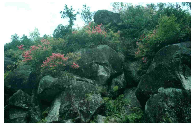 富显云海  山隐宝藏